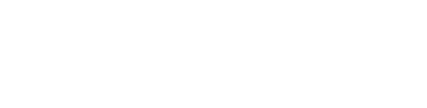Begon Store Butik